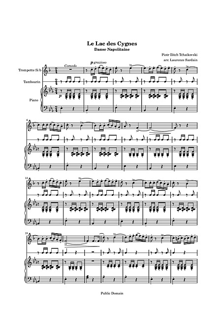 Miniatura di partitura