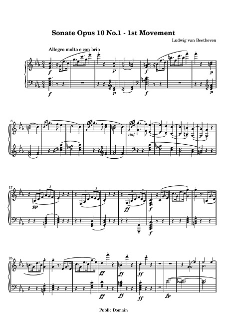 Miniatura di partitura