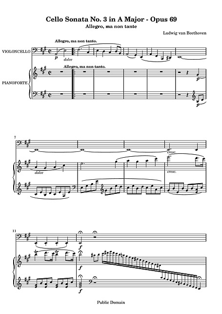 Miniatura di partitura