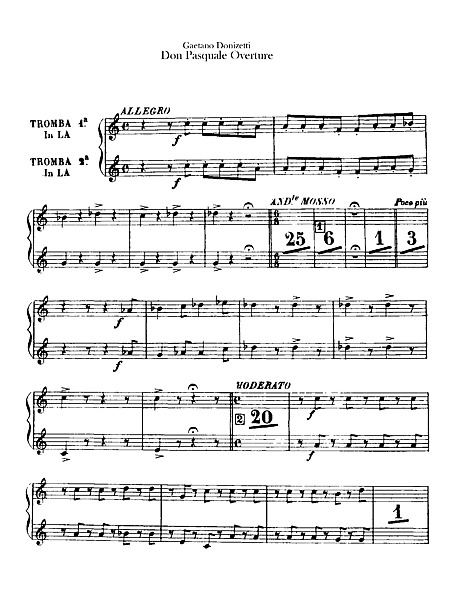 Miniatura di partitura