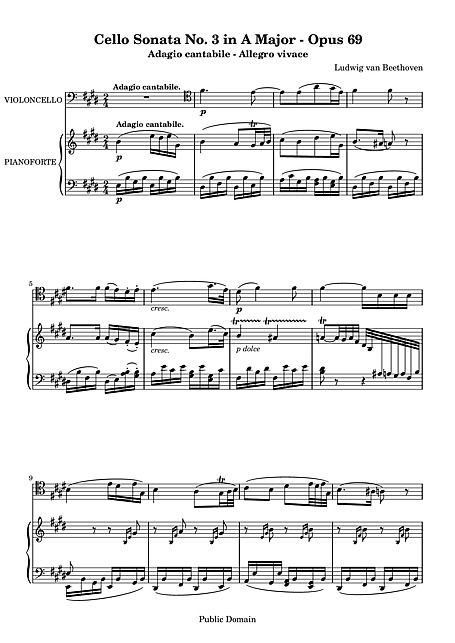 Miniatura di partitura