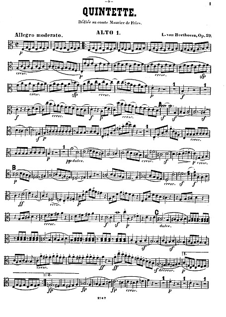 Miniatura di partitura