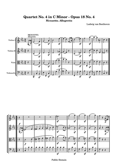 Miniatura di partitura