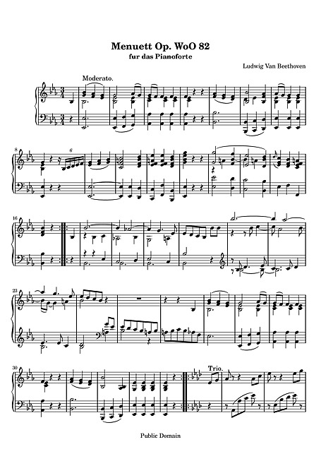 Miniatura di partitura