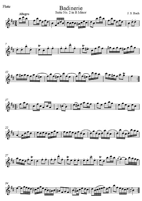 Miniatura di partitura