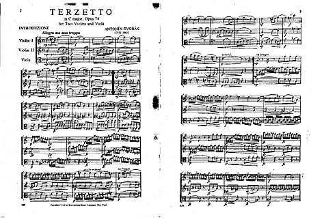 Miniatura de la partitura