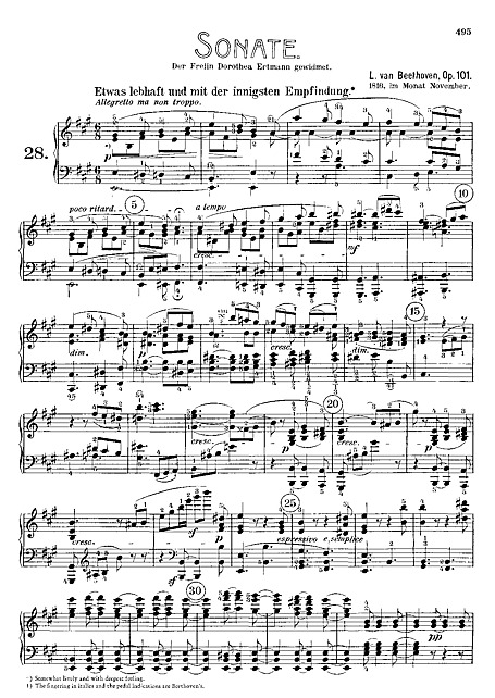 Piano Sonata No. 28 ピアノ - 楽譜 - カントリーアン