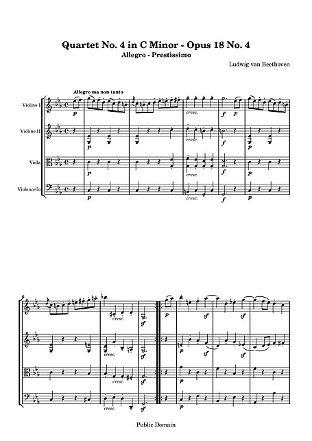 Miniatura di partitura