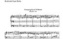 Miniatura de la partitura