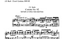 Ciplun Cerddoriaeth