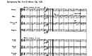 Miniatura de la partitura