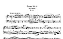 Miniatura de la partitura