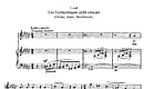 Miniatura di partitura