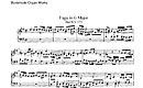 Miniatura de la partitura