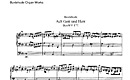 Miniatura de la partitura