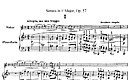 Miniatura de la partitura