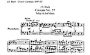 Miniatura de la partitura