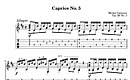 Miniatura de la partitura