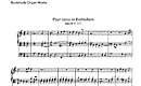Miniatura de la partitura