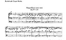 Miniatura de la partitura