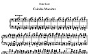Miniatura di partitura