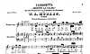 Miniatura di partitura