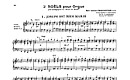 Miniatura de partitura