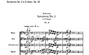 Miniatura di partitura