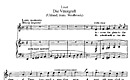 Miniatura di partitura