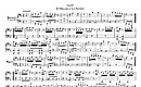 Miniatura de la partitura
