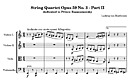 Miniatura di partitura