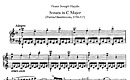 Miniatura di partitura