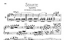 Miniatura de partitura