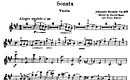 Miniatura di partitura